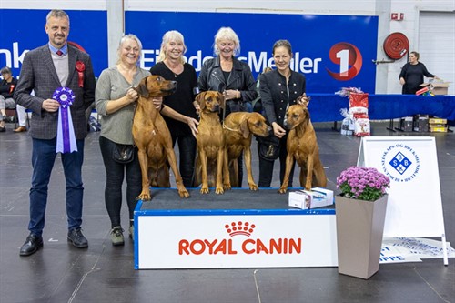 Beste oppdretterklasse lørdag.jpg